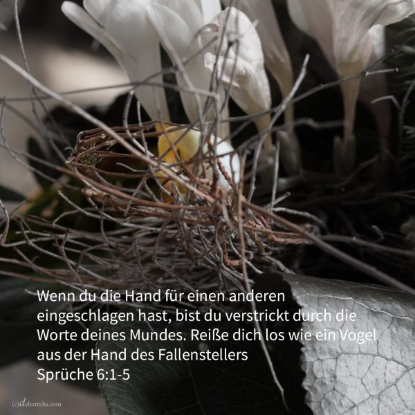 Wenn du Bürge geworden bist für deinen Nächsten, für einen anderen deine Hand eingeschlagen hast, bist du verstrickt durch die Worte deines Mundes ( Sprüche 6,1-5 )