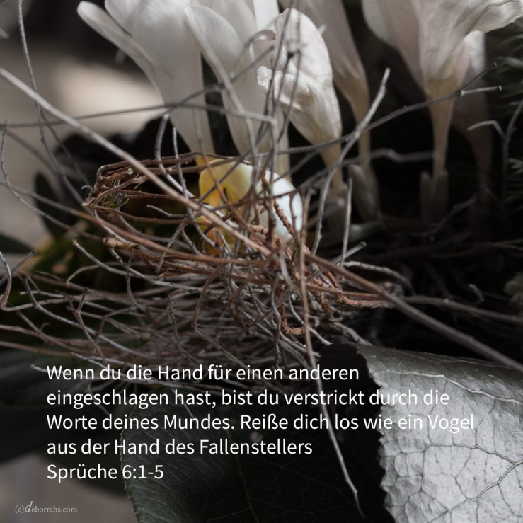 Wenn du Bürge geworden bist für deinen Nächsten, für einen anderen deine Hand eingeschlagen hast, bist du verstrickt durch die Worte deines Mundes ( Sprüche 6,1-5 )