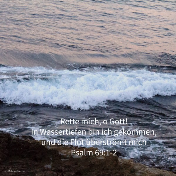 Rette mich, o Gott! in Wassertiefen bin ich gekommen, und die Flut überströmt mich ( Psalm 69,1-2 )