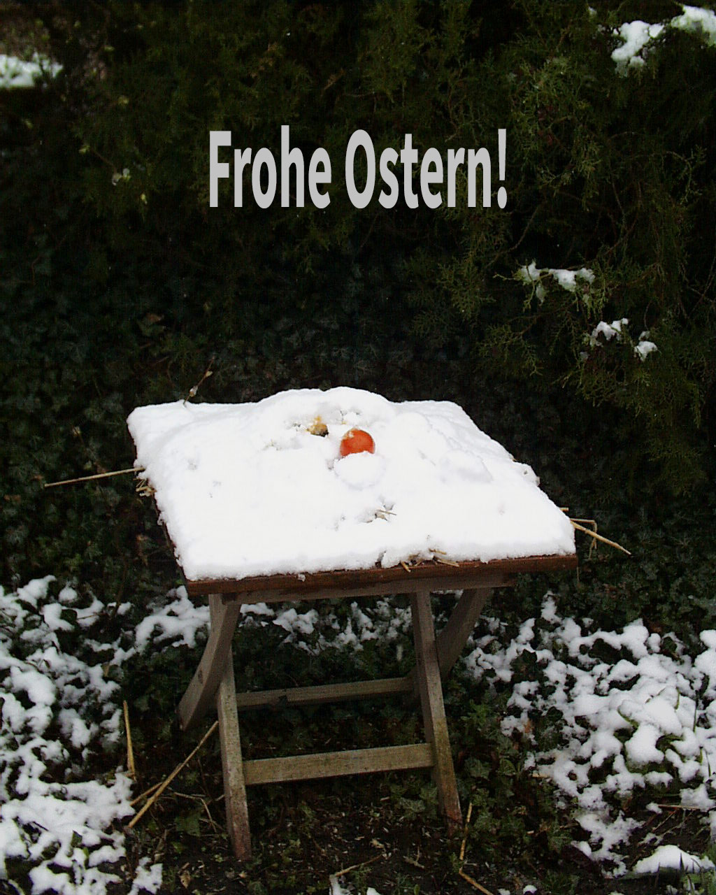  Schmiede nichts Böses wider deinen Nächsten, während er vertrauensvoll bei dir wohnt ( Sprüche 3,29 ) 