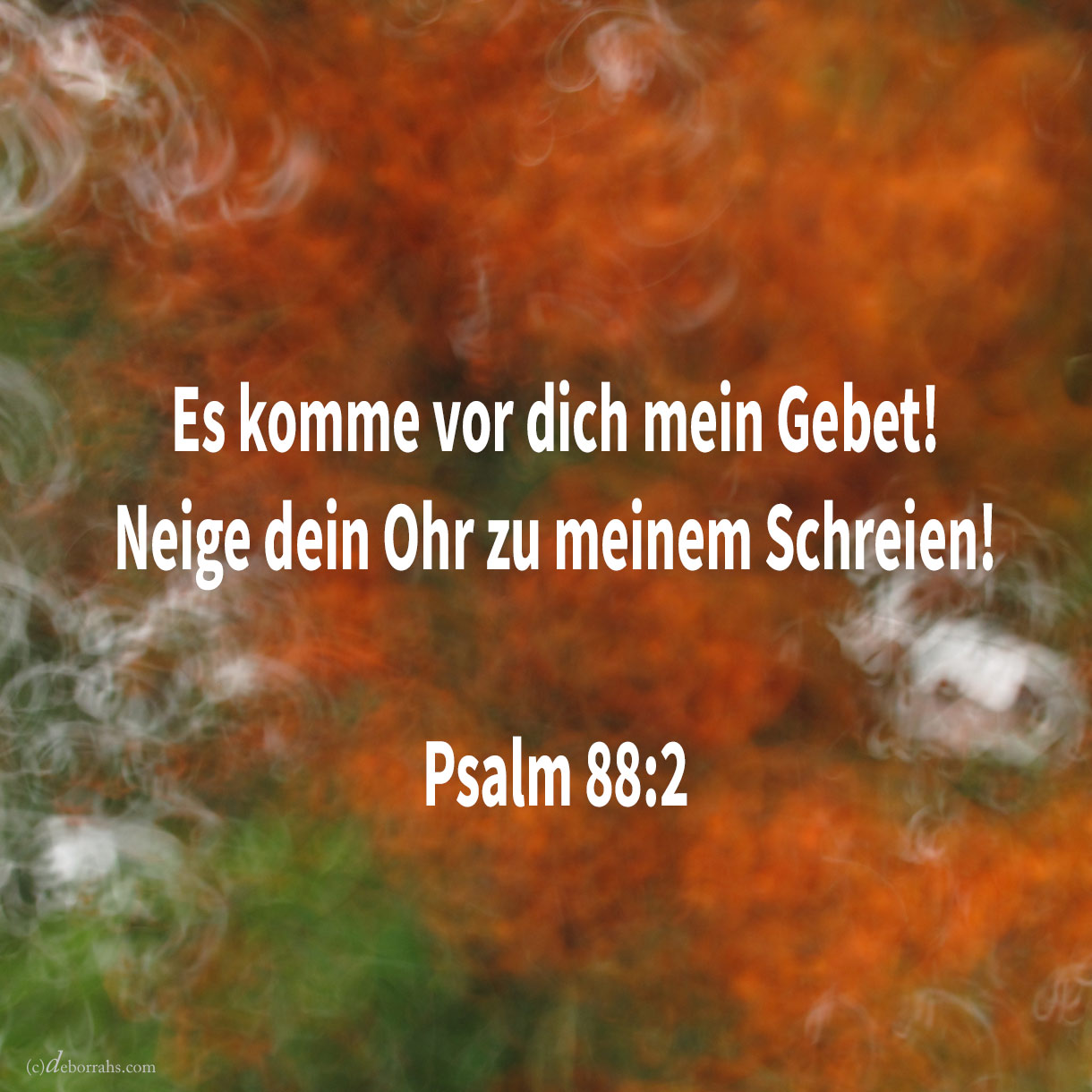  Es komme vor dich mein Gebet! neige dein Ohr zu meinem Schreien ( Psalm 88:2 ) 