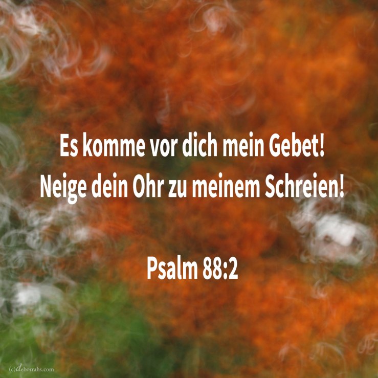 Es komme vor dich mein Gebet! neige dein Ohr zu meinem Schreien ( Psalm 88:2 )