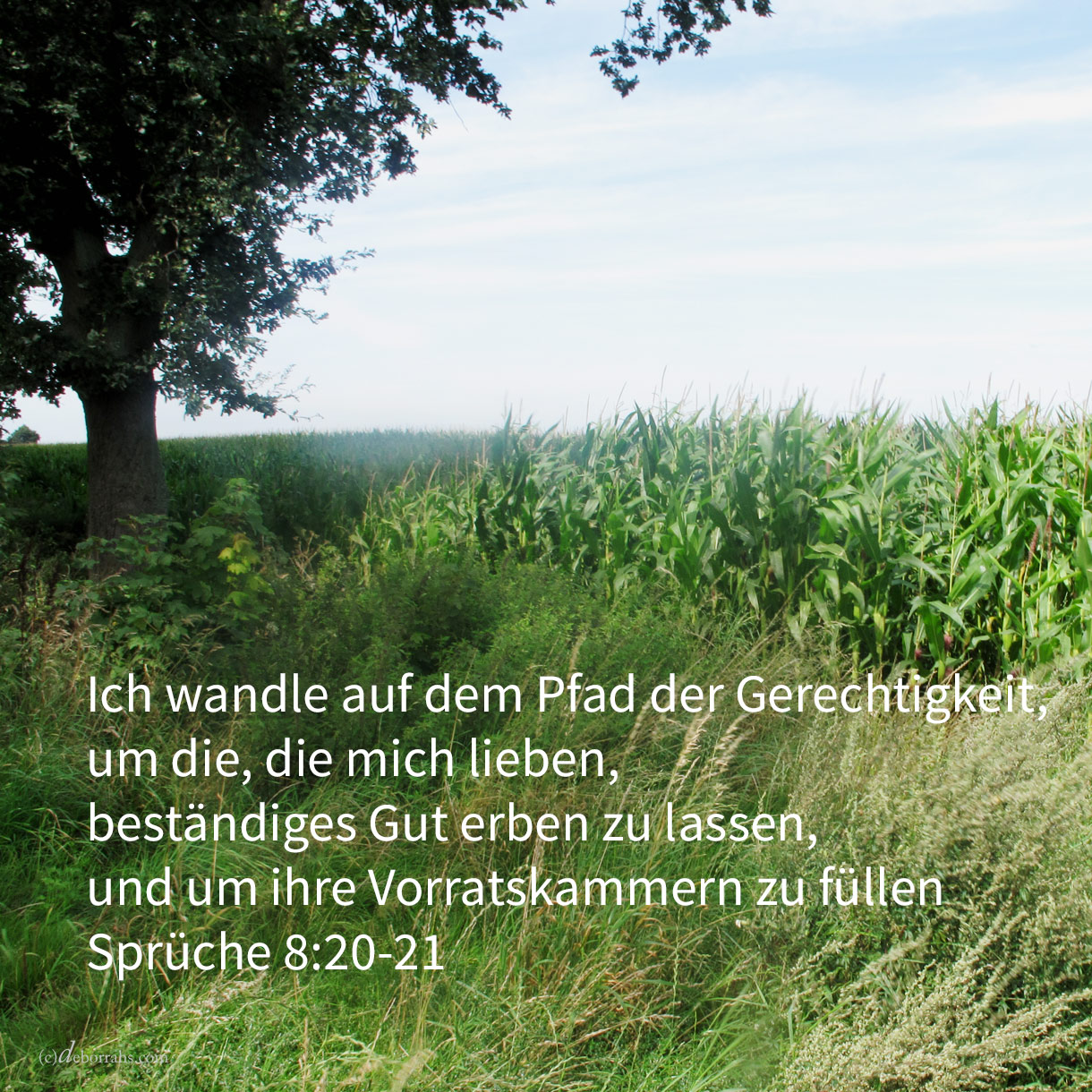  Ich wandle auf dem Pfade der Gerechtigkeit, mitten auf den Steigen des Rechts; um die, die mich lieben, beständiges Gut erben zu lassen, und um ihre Vorratskammern zu füllen ( Sprüche 8,20-21) 