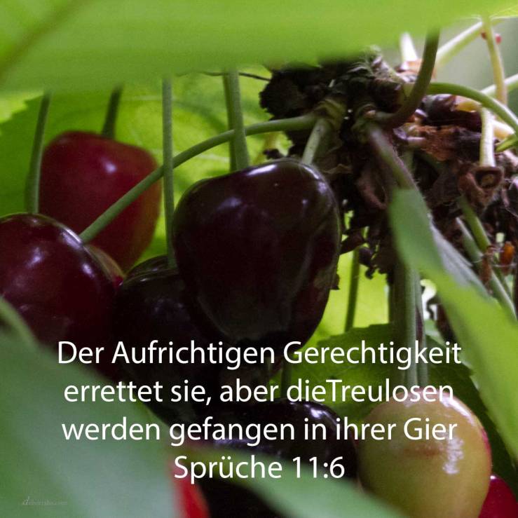 Der Aufrichtigen Gerechtigkeit errettet sie, aber die Treulosen werden gefangen in ihrer Gier ( Sprüche 11,6 )