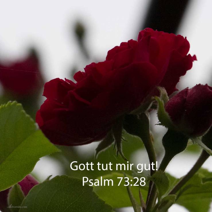 Ich aber, Gott zu nahen ist mir gut ( Psalm 73:28 )