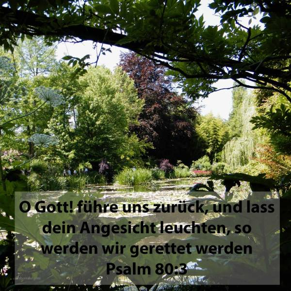 O Gott! führe uns zurück, und lass dein Angesicht leuchten, so werden wir gerettet werden ( Psalm 80,3 )