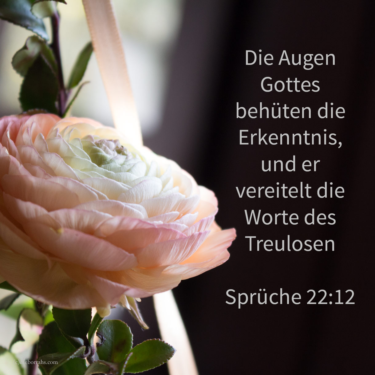  Die Augen Jehovas behüten die Erkenntnis, und er vereitelt die Worte des Treulosen ( Sprüche 22,12 ) 