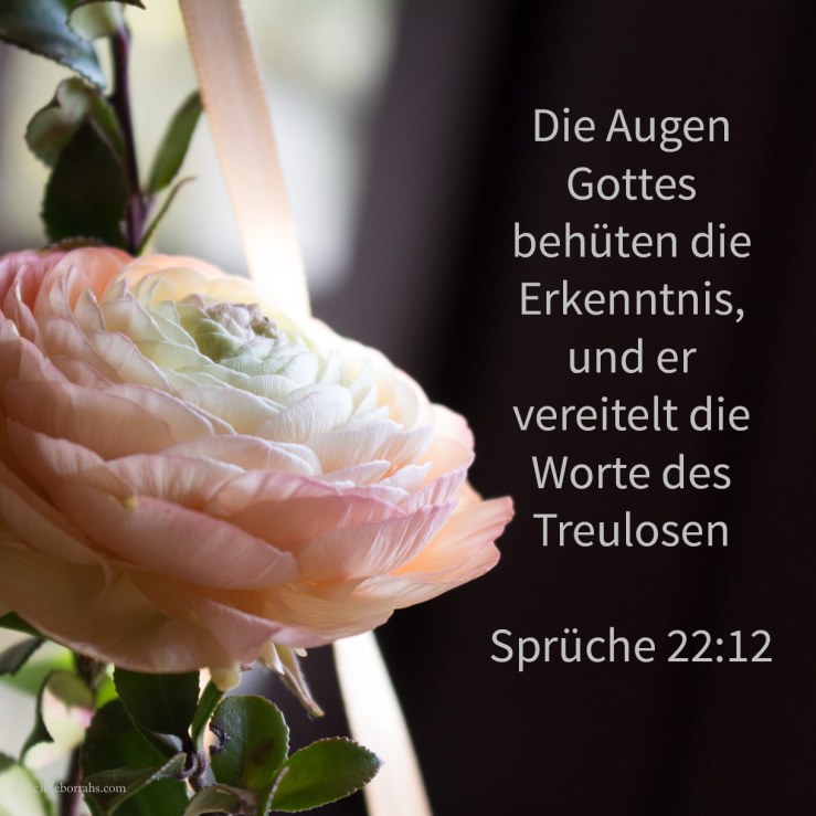 Die Augen Jehovas behüten die Erkenntnis, und er vereitelt die Worte des Treulosen ( Sprüche 22,12 )