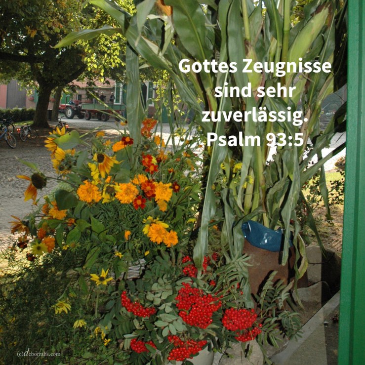 Deine Zeugnisse sind sehr zuverlässig ( Psalm 93,5 )