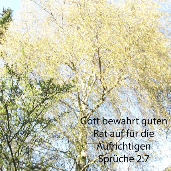 Gott bewahrt klugen Rat auf für die Aufrichtigen, er ist ein Schild denen, die in Vollkommenheit wandeln ( Sprüche 2,7 )