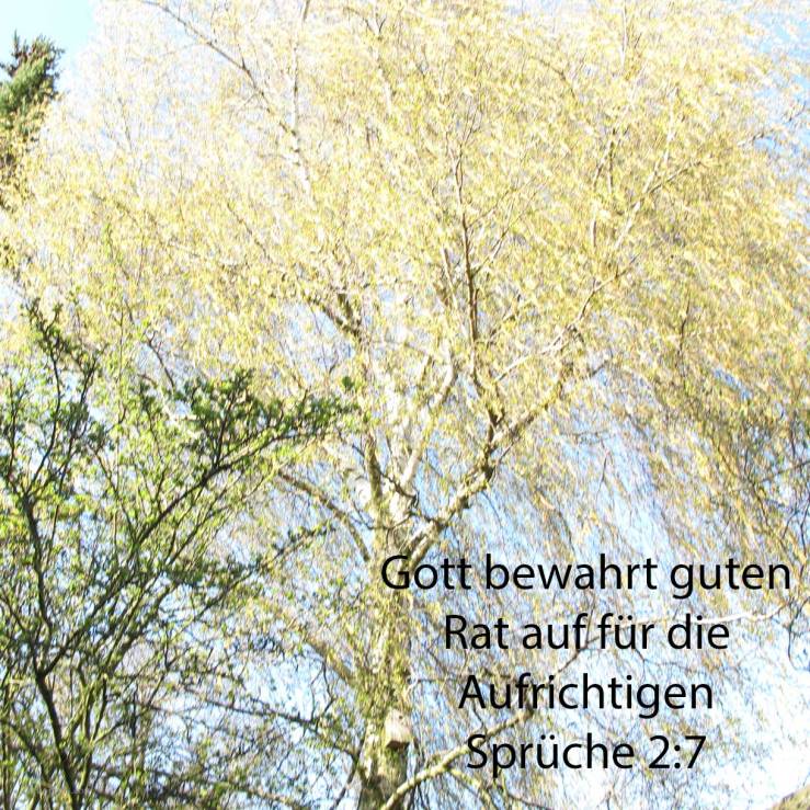 Gott bewahrt klugen Rat auf für die Aufrichtigen, er ist ein Schild denen, die in Vollkommenheit wandeln ( Sprüche 2,7 )