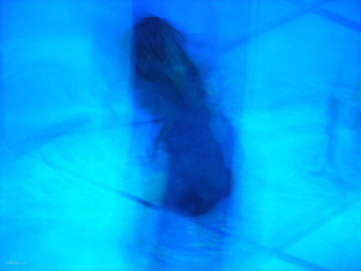 Und über Isebel redete der HERR auch und sprach: Die Hunde sollen Isebel fressen an der Mauer Jesreels ( 1.Könige 21,23 )