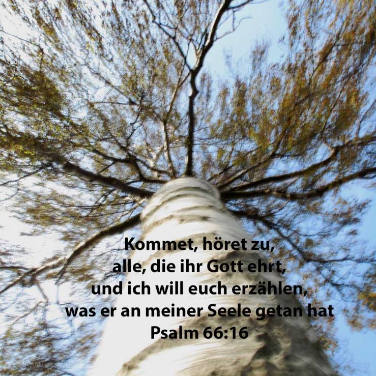 Kommet, höret zu, alle, die ihr Gott fürchtet, und ich will erzählen, was er an meiner Seele getan hat ( Ps 66,16 )