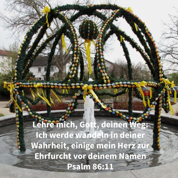 Lehre mich, Jehova, deinen Weg: ich werde wandeln in deiner Wahrheit; einige mein Herz zur Furcht deines Namens ( Psalm 86,11 )