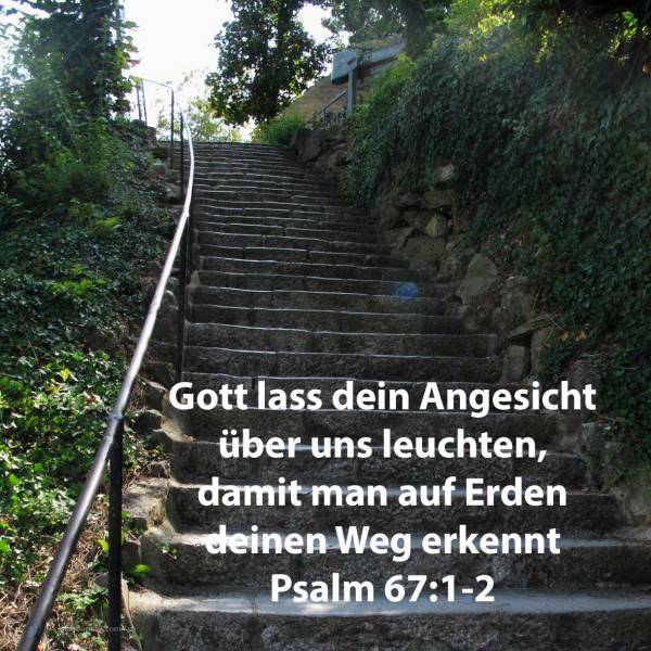 Er lasse sein Angesicht leuchten über uns, dass man erkenne deinen Weg ( Psalm 67:1-2 )