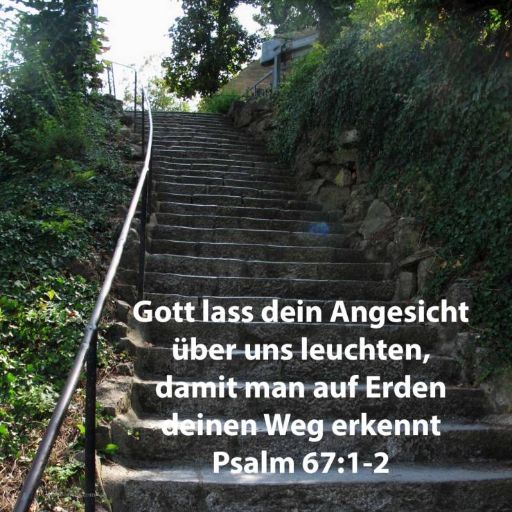 Er lasse sein Angesicht leuchten über uns, dass man erkenne deinen Weg ( Psalm 67:1-2 )