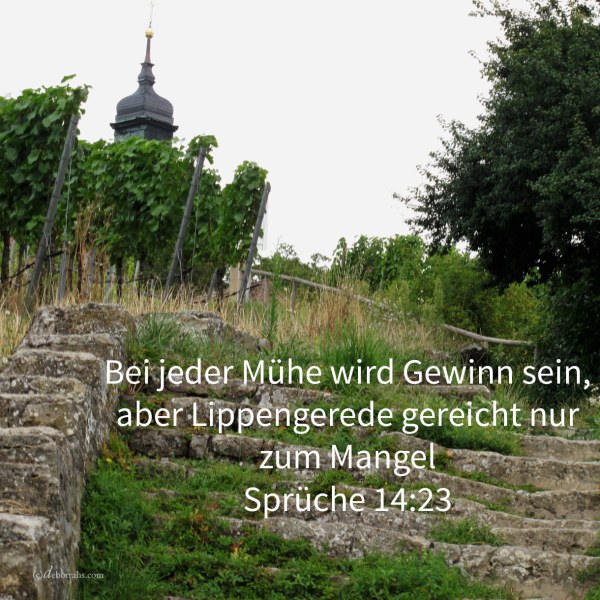 Bei jeder Mühe wird Gewinn sein, aber Lippengerede gereicht nur zum Mangel ( Sprüche 14,23 )
