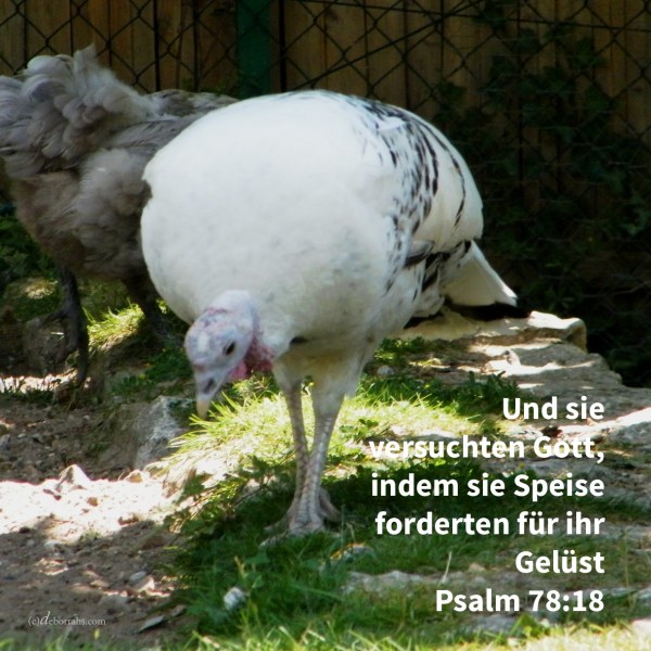 Und sie versuchten Gott in ihren Herzen, indem sie Speise forderten für ihr Gelüst ( Psalm 78,18 )
