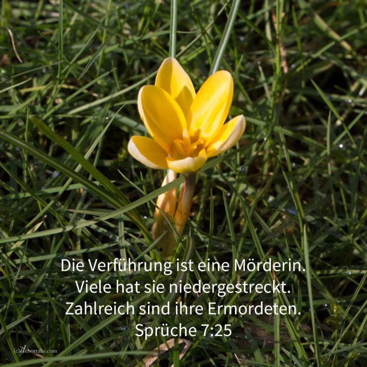 Dein Herz wende sich nicht ab nach ihren Wegen, und irre nicht umher auf ihren Pfaden! Denn viele Erschlagene hat sie niedergestreckt, und zahlreich sind alle ihre Ermordeten ( Sprüche 7,25-26)