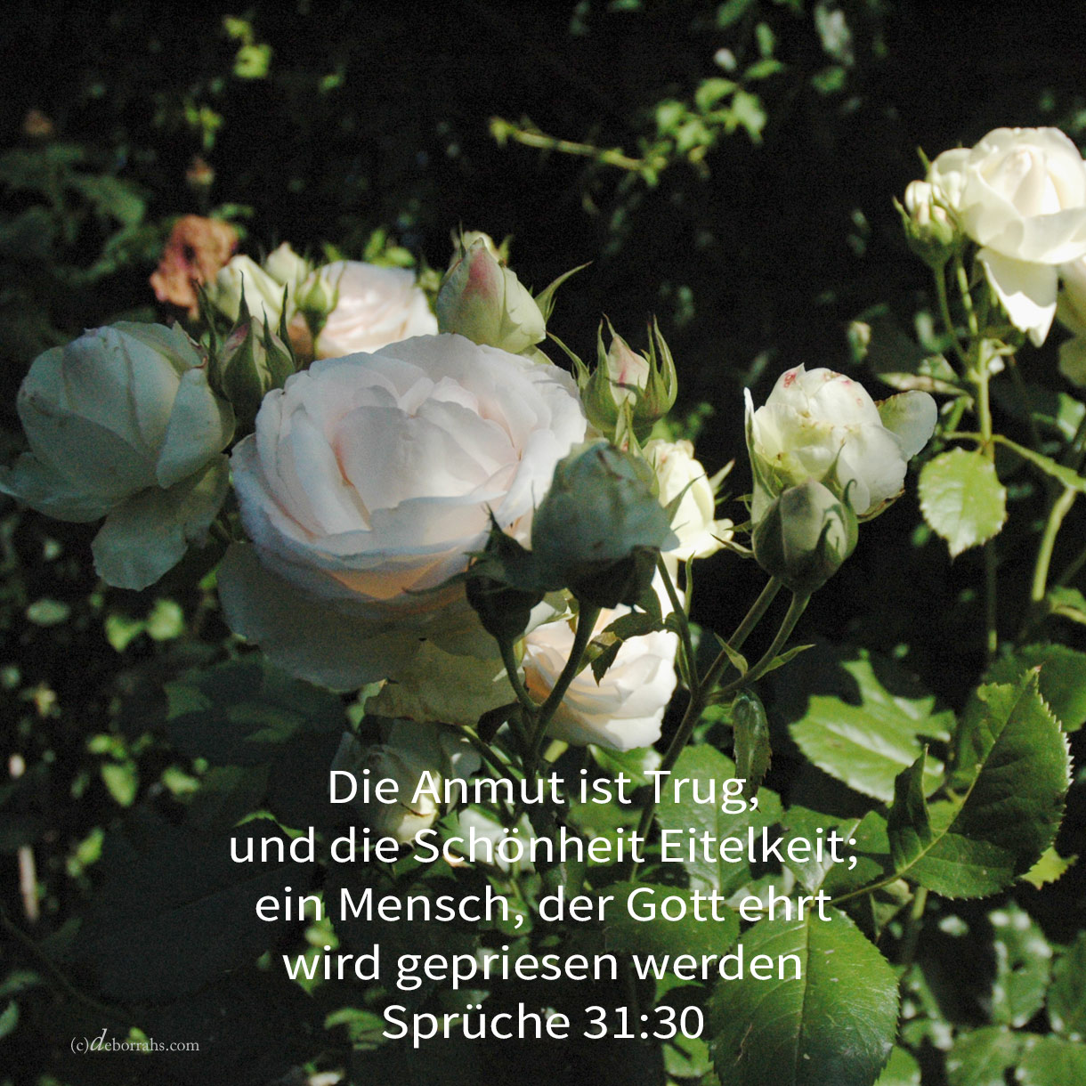  Die Anmut ist Trug, und die Schönheit Eitelkeit; ein Weib, das Jehova fürchtet, sie wird gepriesen werden ( Sprüche 31,30 ) 