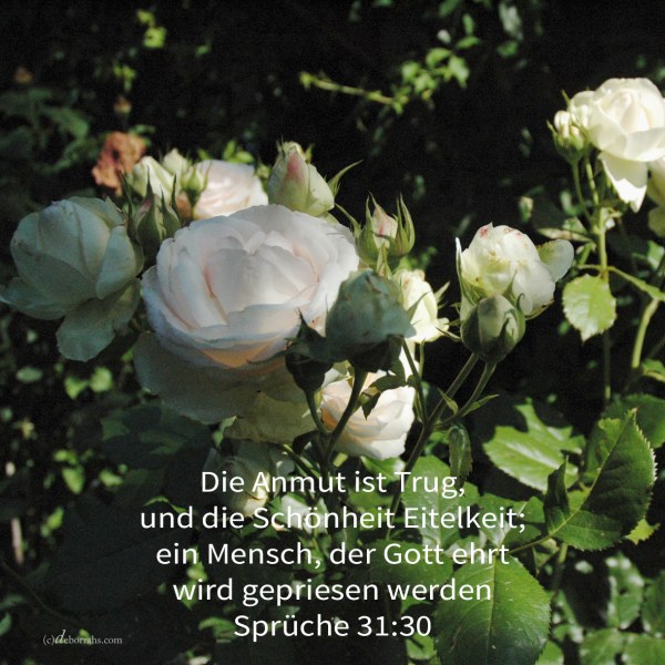 Die Anmut ist Trug, und die Schönheit Eitelkeit; ein Weib, das Jehova fürchtet, sie wird gepriesen werden ( Sprüche 31,30 )