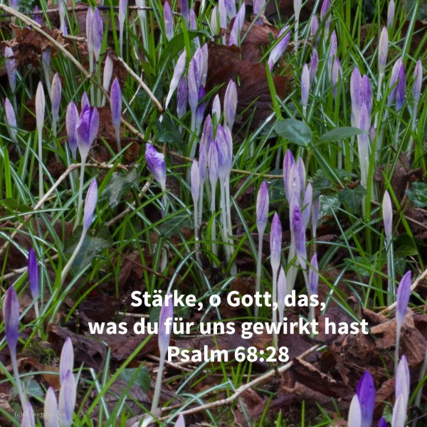 Geboten hat dein Gott deine Stärke. Stärke, o Gott, das, was du für uns gewirkt hast ( Psalm 68,28 )