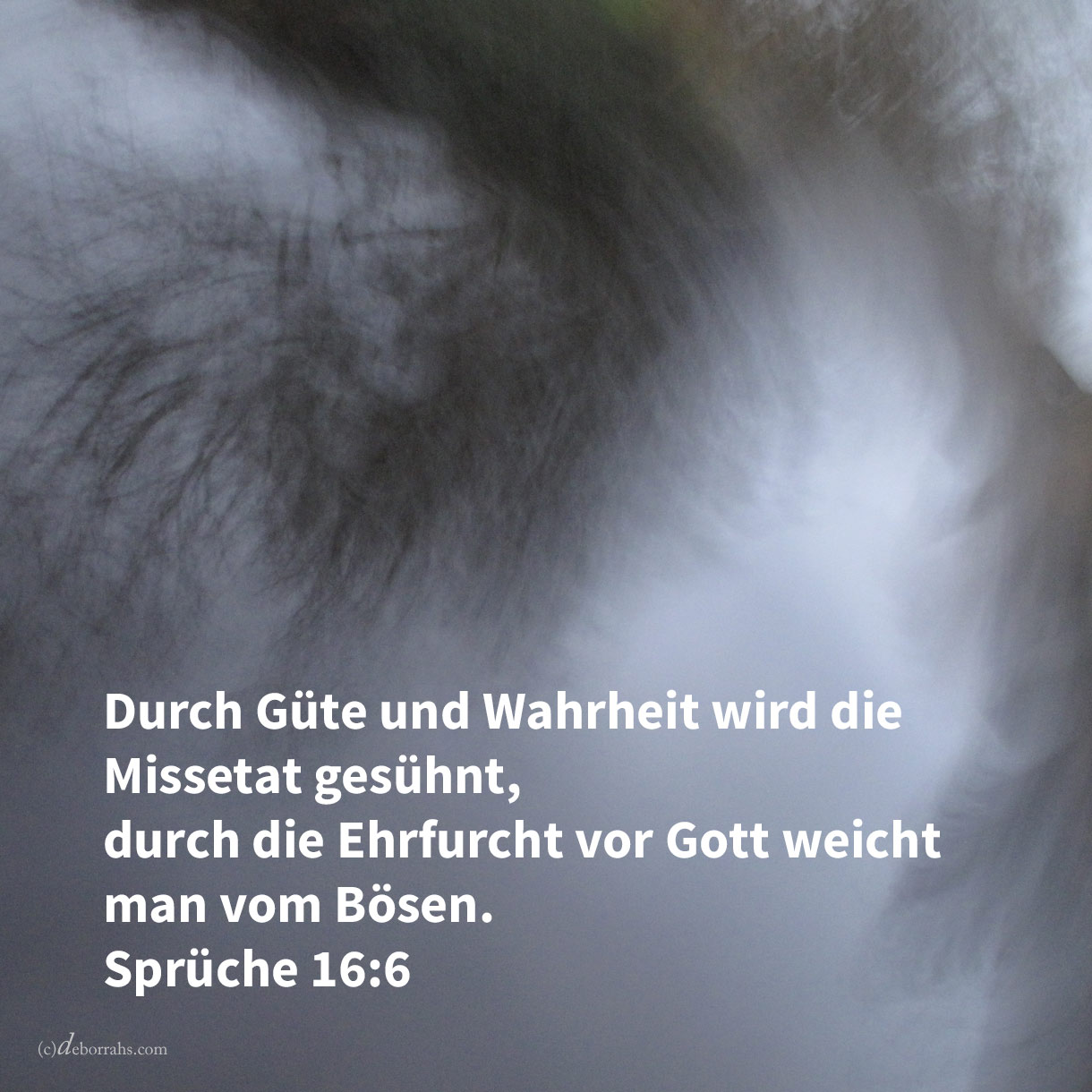  Durch Güte und Wahrheit wird die Missetat gesühnt, und durch die Furcht Jehovas weicht man vom Bösen ( Sprüche 16,6 ) #Sühne 