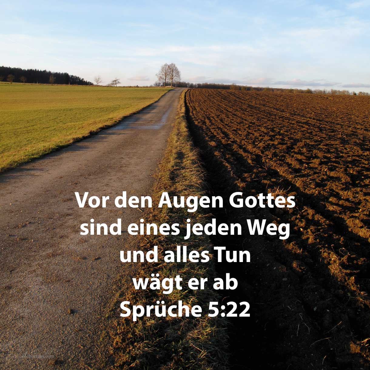  Denn vor den Augen Jehovas sind eines jeden Wege, und alle seine Geleise wägt er ab ( Sprüche 5,22 ) 