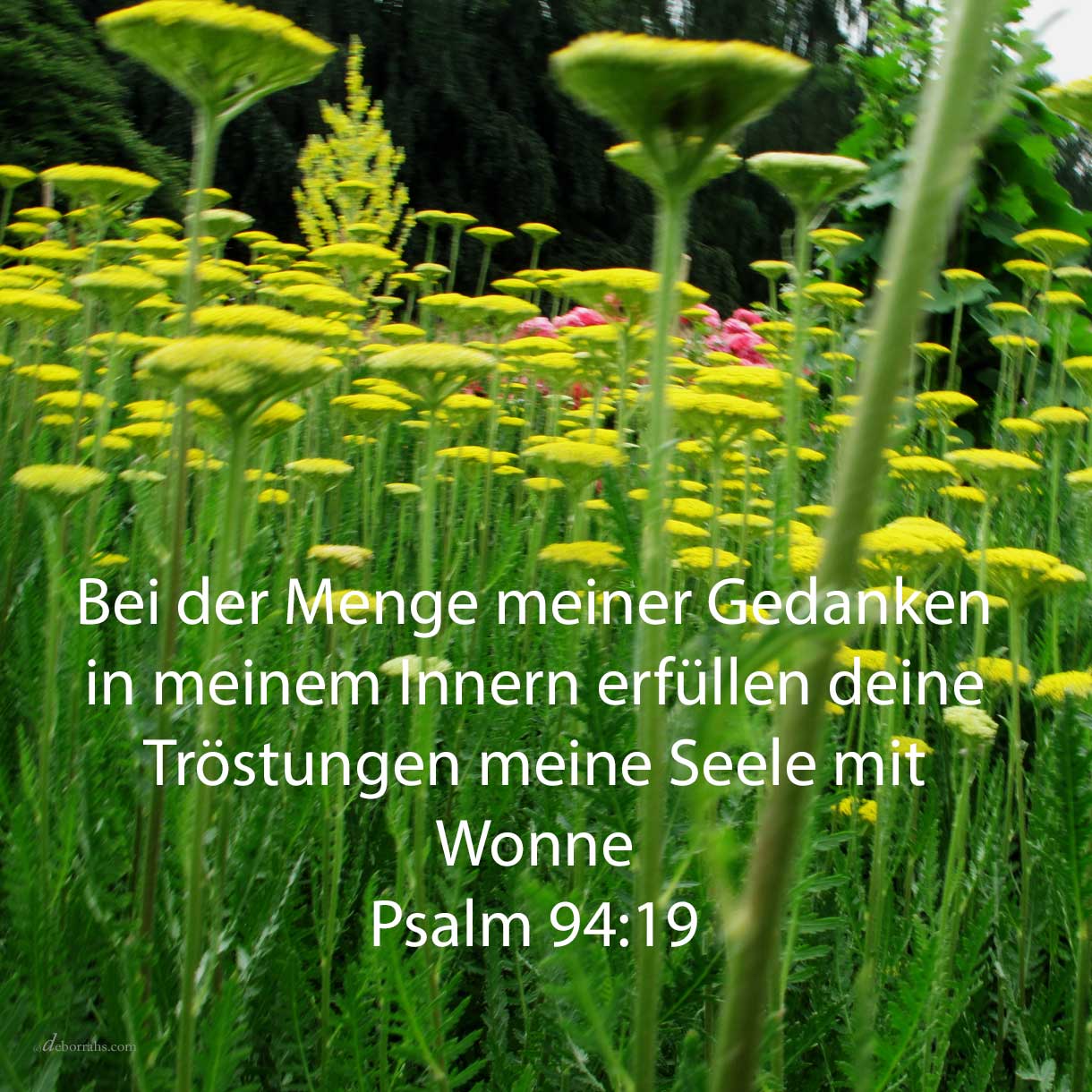  Bei der Menge meiner gedanken in meinem Innern erfüllten deine Tröstungen meine Seele mit Wonne ( Psalm 94,19 )