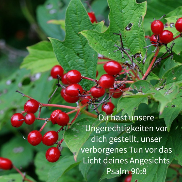 Du hast unsere Ungerechtigkeiten vor dich gestellt, unser verborgenes Tun vor das Licht deines Angesichts ( Psalm 90,8 )