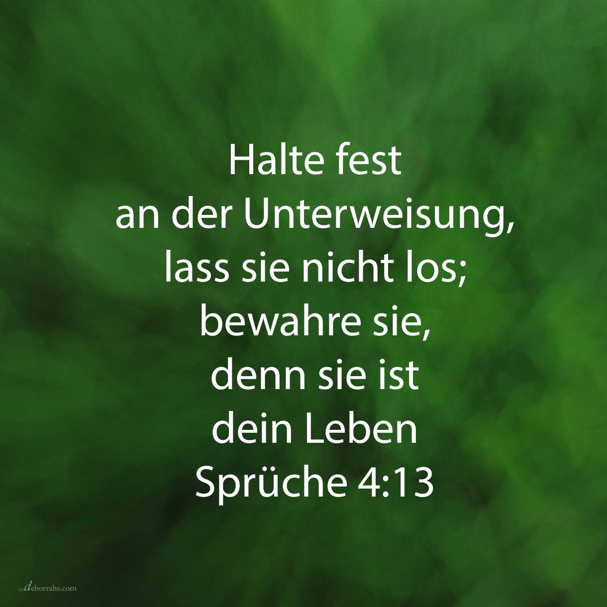 Halte fest an der Unterweisung, lass sie nicht los; bewahre sie, denn sie ist dein Leben ( Sprüche 4,13 ) 
