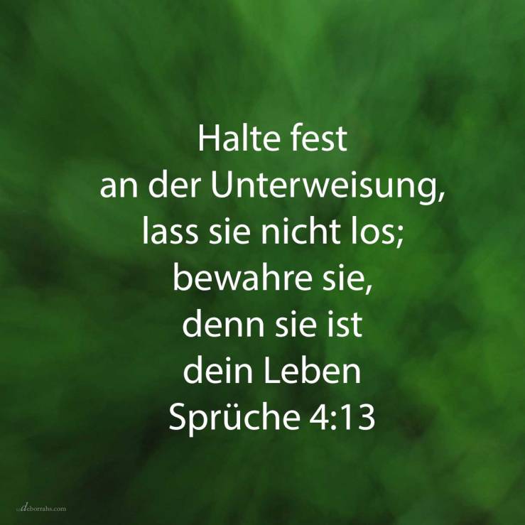 Halte fest an der Unterweisung, lass sie nicht los; bewahre sie, denn sie ist dein Leben ( Sprüche 4,13 )