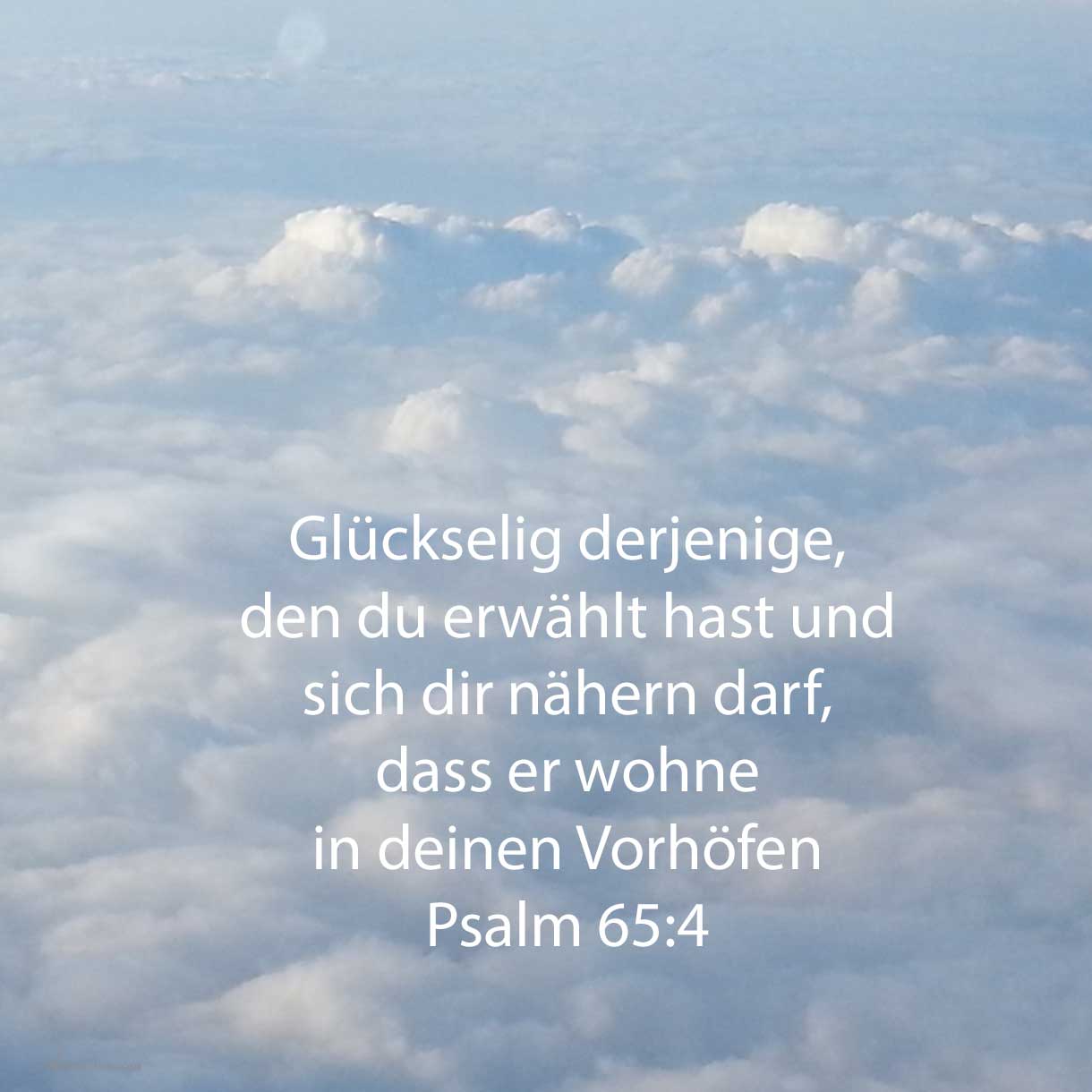  Glückselig der, den du erwählest und herzunahen lässest, dass er wohne in deinen Vorhöfen! ( Psalm 65,4 )