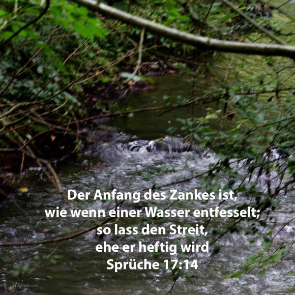Der Anfang eines Zankes ist, wie wenn einer Wasser entfesselt; so lass den Streit, ehe er heftig wird ( Sprüche 17,14 )