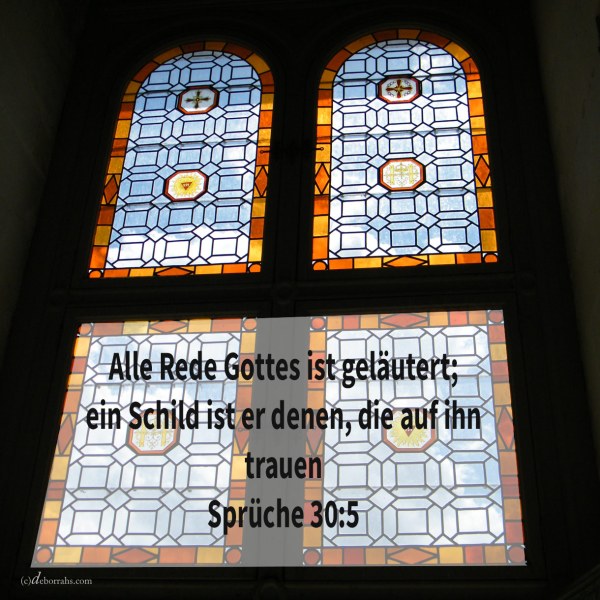 Alle Rede Gottes ist geläutert; ein Schild ist er denen, die auf ihn trauen ( Sprüche 30:5 )