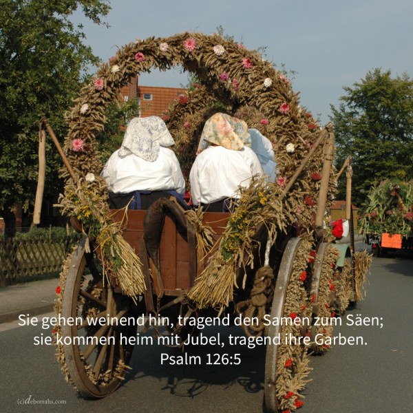 Er geht weinend hin, tragend den Samen zum Säen; er kommt heim mit Jubel, tragend seine Garben ( Psalm 126,6 )