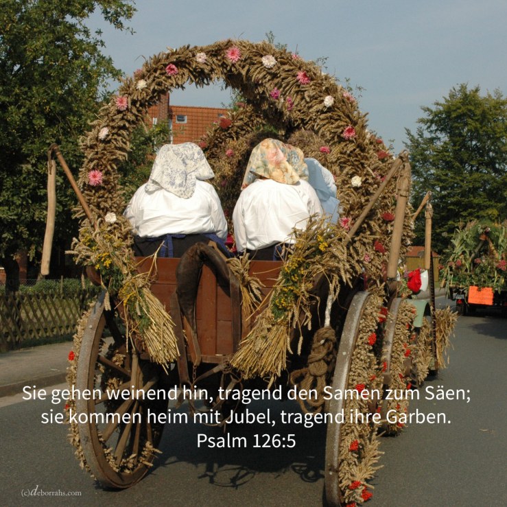 Er geht weinend hin, tragend den Samen zum Säen; er kommt heim mit Jubel, tragend seine Garben ( Psalm 126,6 )