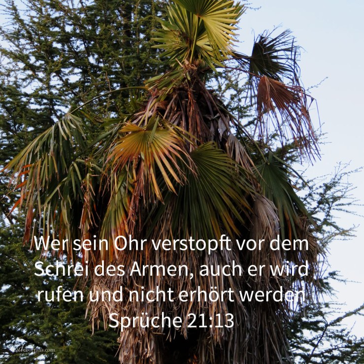 Wer sein Ohr verstopft vor dem Schrei des Armen, auch er wird rufen und nicht erhört werden ( Sprüche 21,13 )