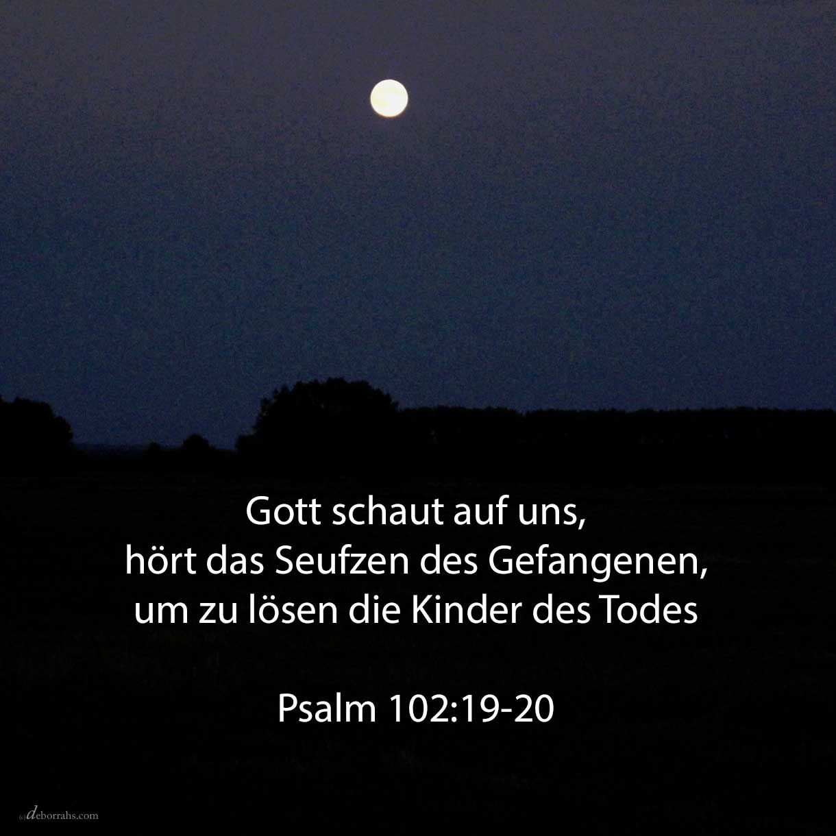  Jehovah hat herabgeschaut vom Himmel auf die Erde, um zu hören das Seufzen des Gefangenen, um zu lösen die Kinder des Todes ( Psalm 102,19-20 ) 