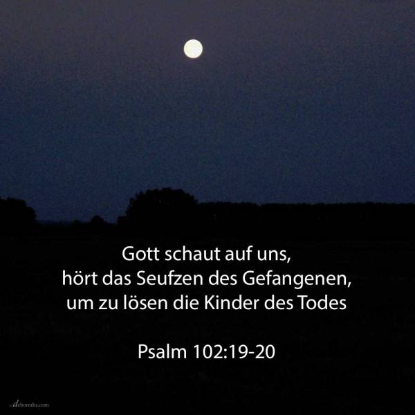 Jehovah hat herabgeschaut vom Himmel auf die Erde, um zu hören das Seufzen des Gefangenen, um zu lösen die Kinder des Todes ( Psalm 102,19-20 )