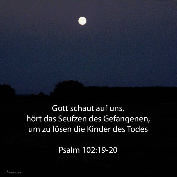 Jehovah hat herabgeschaut vom Himmel auf die Erde, um zu hören das Seufzen des Gefangenen, um zu lösen die Kinder des Todes ( Psalm 102,19-20 )