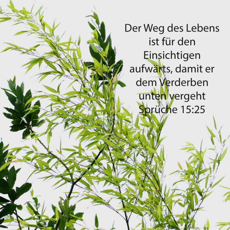 Der Weg des Lebens ist für den Einsichtigen aufwärts, damit er dem Scheol unten entgehe ( Sprüche 25,24 )