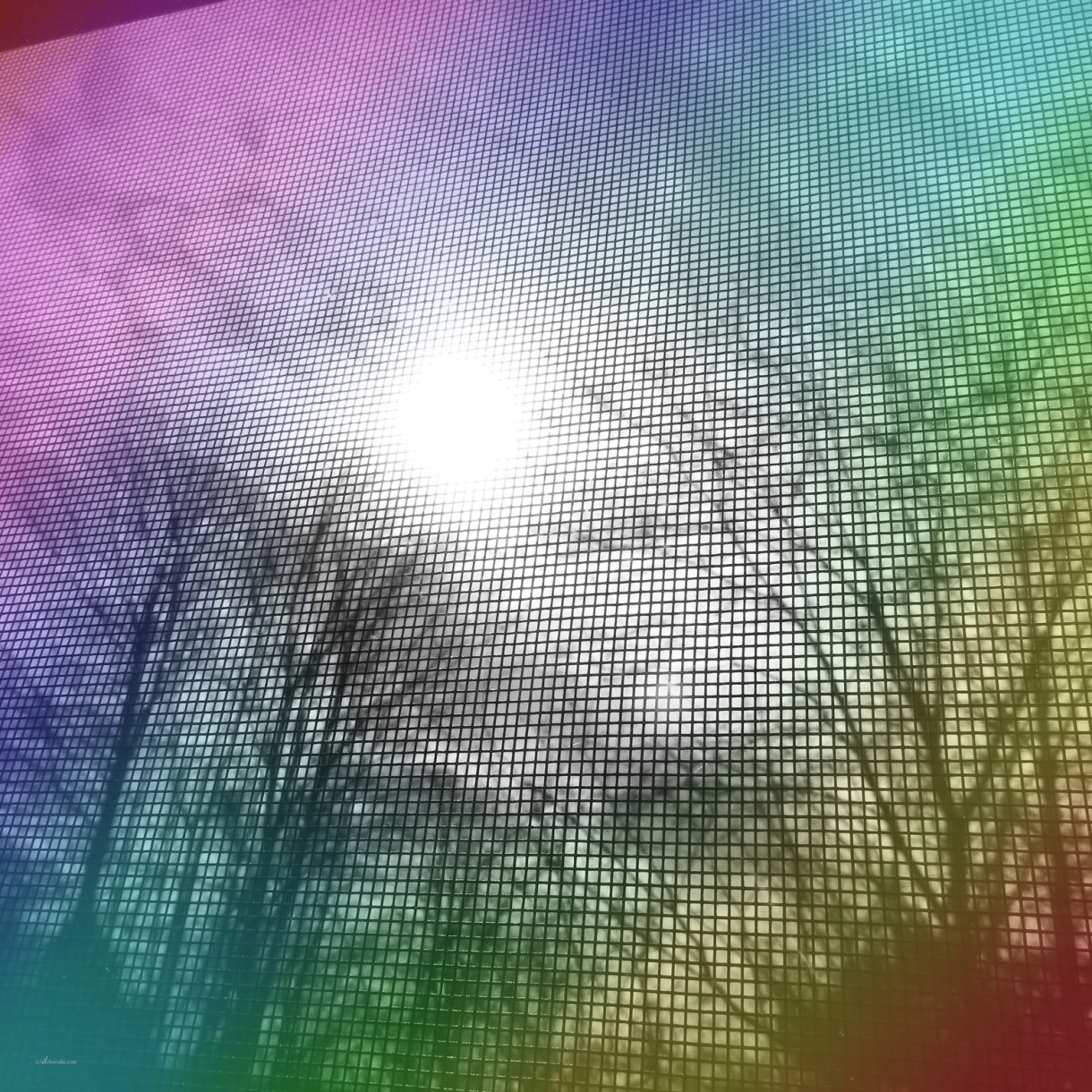  In heiliger Pracht, aus dem Schoße der Morgenröte wird dir der tau deiner Jugend kommen ( Ps 110,3 ) 