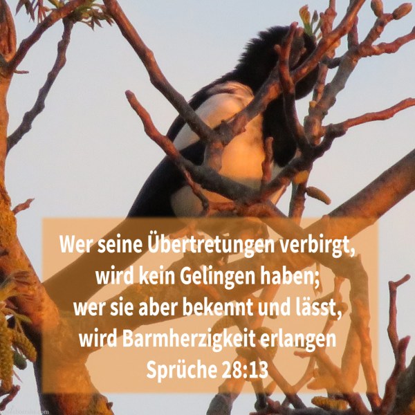 Wer seine Übertretungen verbirgt, wird kein Gelingen haben; wer sie aber bekennt und lässt, wird Barmherzigkeit erlangen ( Sprüche 28,13 )
