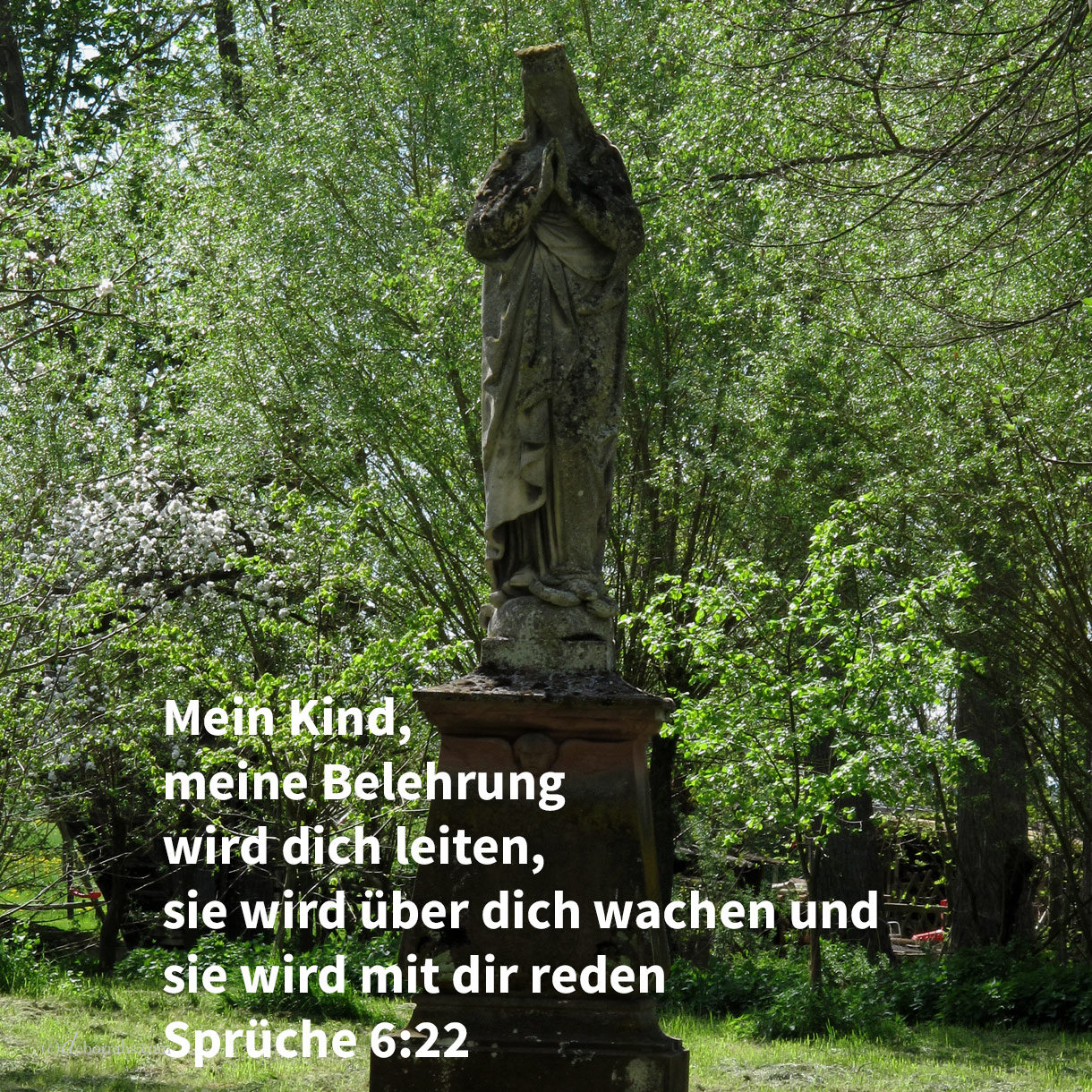  Wenn du einhergehst, wird die Belehrung dich leiten; wenn du dich niederlegst, wird sie über dich wachen; und erwachst du, so wird sie mit dir reden ( Sprüche 6:22) 