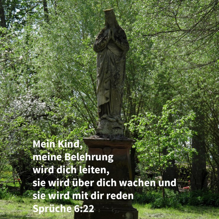Wenn du einhergehst, wird die Belehrung dich leiten; wenn du dich niederlegst, wird sie über dich wachen; und erwachst du, so wird sie mit dir reden ( Sprüche 6:22)