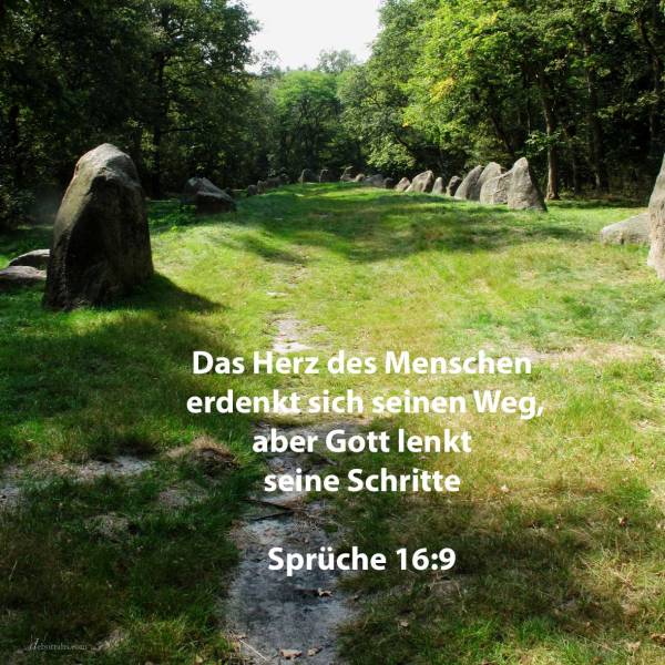 Das Herz des Menschen erdenkt sich seinen Weg, aber jehova lenkt seine Schritte ( Sprüche 16,9 )
