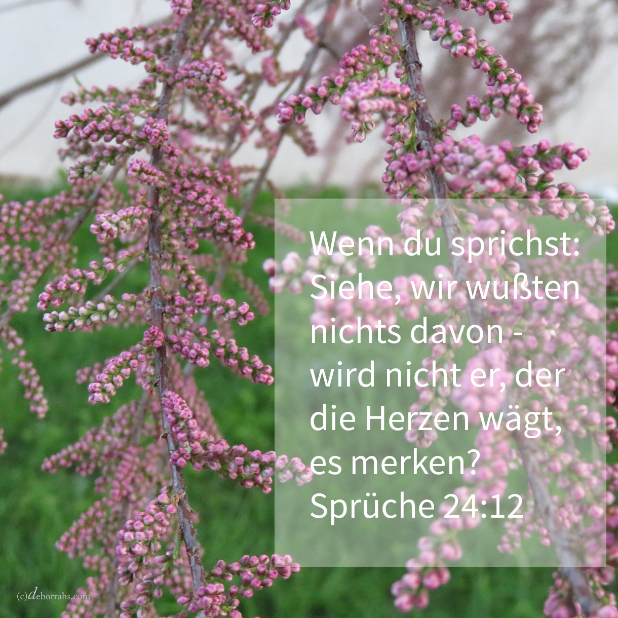  In heiliger Pracht, aus dem Schoße der Morgenröte wird dir der tau deiner Jugend kommen ( Ps 110,3 ) 
