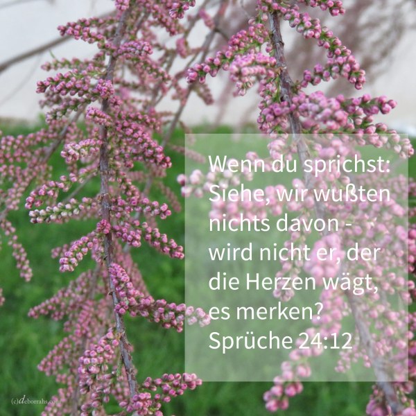 Wenn du sprichst: Siehe, wir wussten nichts davon - wird nicht er, der die Herzen wägt, es merken? (Sprüche 24,12 )