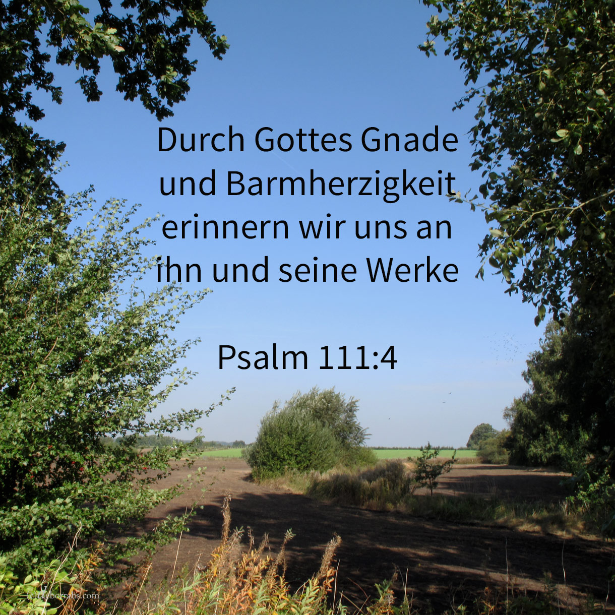  Jehovah hat ein Gedächtnis gestiftet seinen Wundertaten; gnädig und barmherzig ist Jehova ( Psalm 111,4 ) 